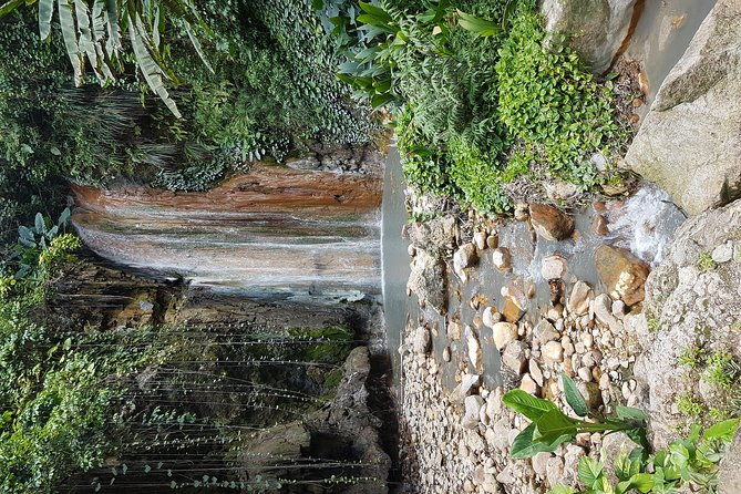 saint-lucia-sulphur-springs-rejuvenating-mud-bath-tour
