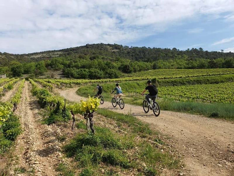 Saint-Martin-d'Ardèche: Electric Bike Wine Tour & Tasting - The Practicalities