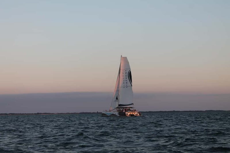 Saint-Martin-de-Ré : Sunset Catamaran Cruise (2h00) - The Itinerary in Detail