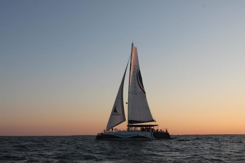 Saint-Martin-de-Ré : Sunset Catamaran Cruise (2h00) - Final Thoughts