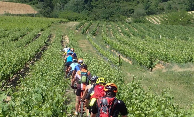 Saint Montan: Electric Bike Wine Tour & Tasting - What is the Saint Montan Electric Bike Wine Tour & Tasting?