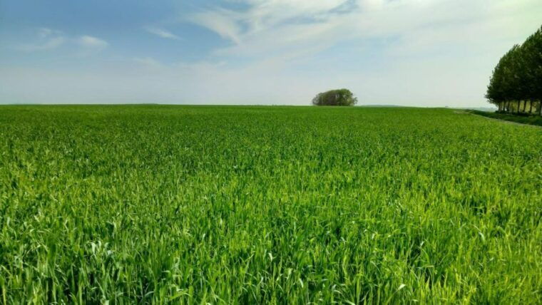 saint-quentin-battle-on-the-hindenburg-line-and-the-canal