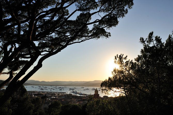 saint-tropez-and-port-grimaud-day-from-nice-small-group-tour
