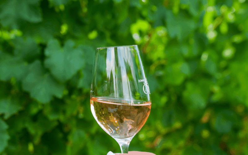 saint-tropez-small-group-wine-tour