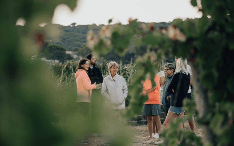 saint-tropez-small-group-wine-tour