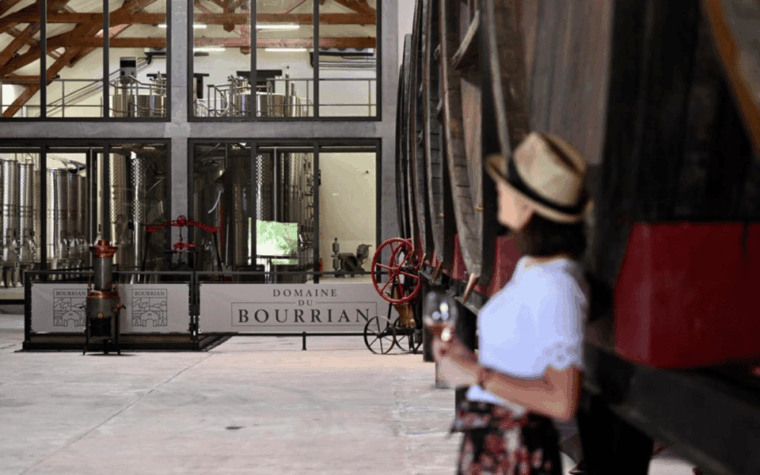 saint-tropez-small-group-wine-tour