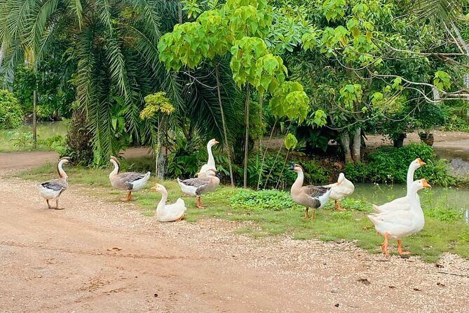 Saitai Mountain Tail ATV Adventure From Krabi - Final Thoughts