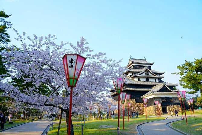 Sakaiminato Private Tour for Shore Excursion - Key Points