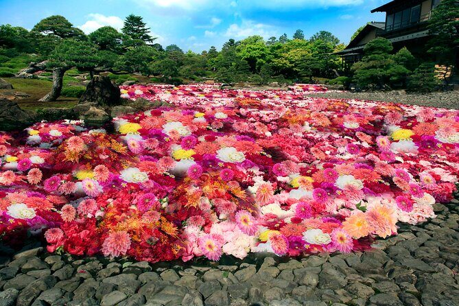 Sakaiminato Private Tour for Shore Excursion - Final Thoughts