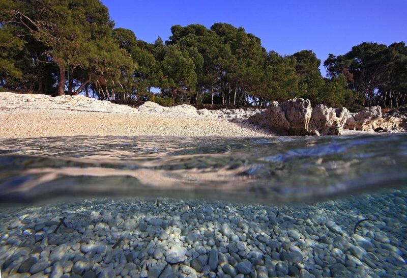 sakarun-beach-full-day-guided-tour-from-zadar