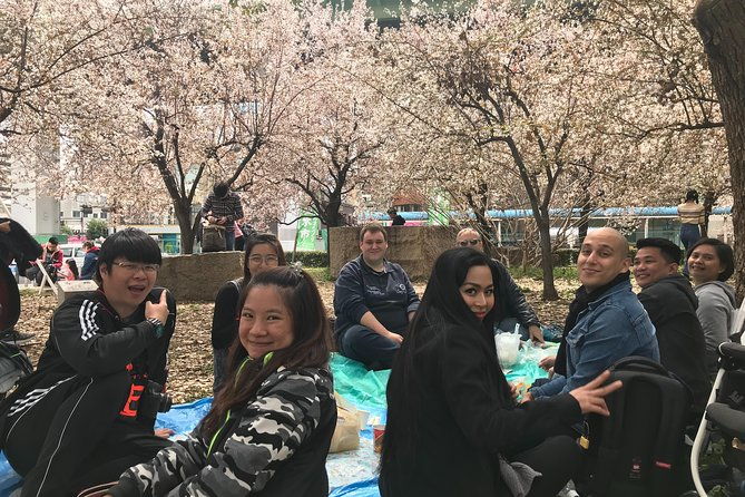 sakura-picnic-hanami-in-osaka-spring-only-2
