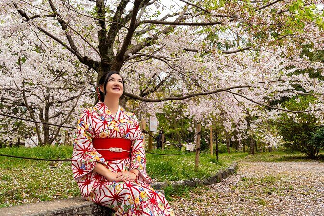 Sakura Season Photoshoot Experience in Kyoto - Key Points