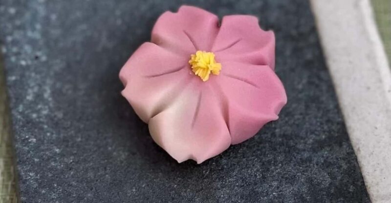 Sakura Sweets Making & Tea Ceremony in Ikegami Plum Garden - Exploring the Experience in Detail