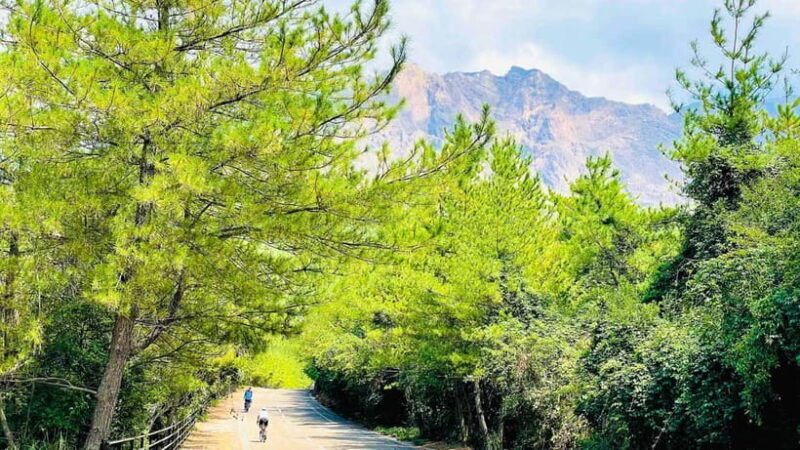 Sakurajima Century Lava Climb Journey with E-bike - Discover the Sakurajima Century Lava Climb Journey with E-bike