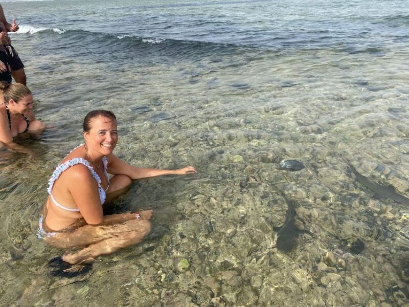 Sal: All inclusive Salt Lake, Natural pools and Shark Bay - Authentic Experiences from Reviews