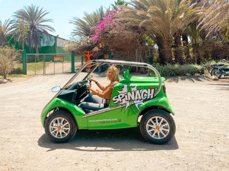 Sal Island: 2 Hour Guided Excursion on a Talking Car - Who Will Love This Tour?