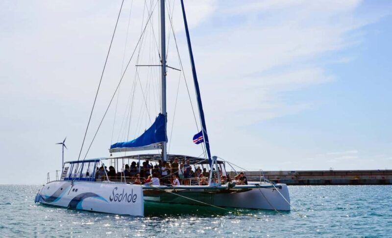 Sal Island Catamaran Cruise with All-inDrinks and Snacks - FAQ: Your Practical Questions Answered