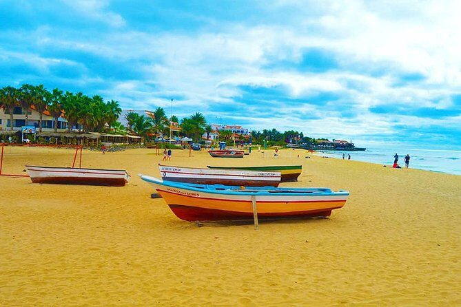 Sal Island: Full-day Private Experience with Local Guide - Exploring Sal Island: What to Expect