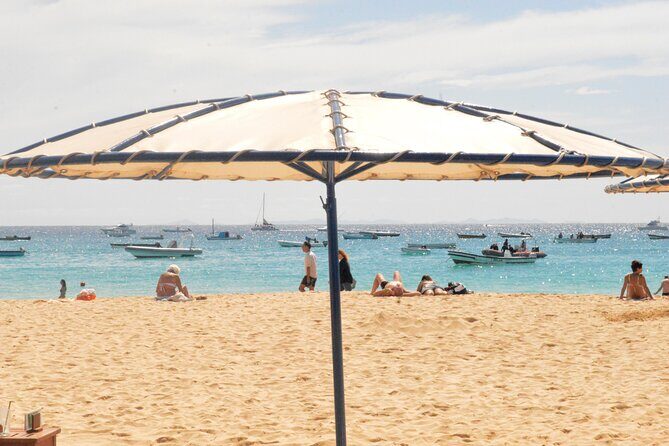 Sal Island: Guided Full-Day Highlights Tour with Lunch - What Makes This Tour Stand Out?