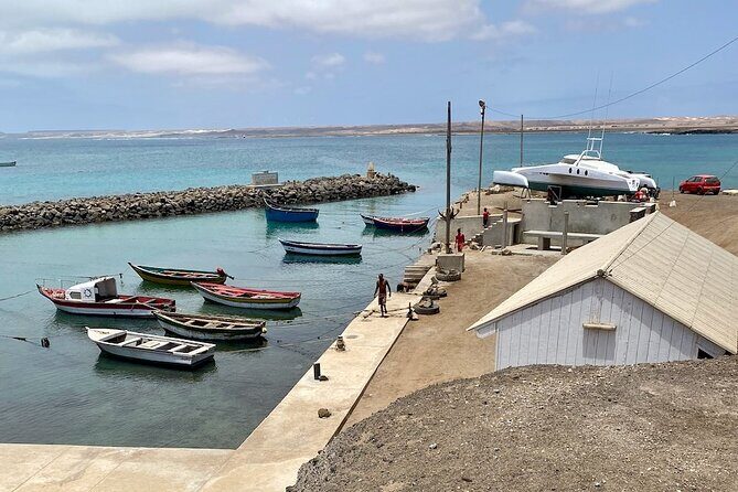 Sal Island in a Group - A Full Day Exploring the Highlights - What Our Reviewers Say