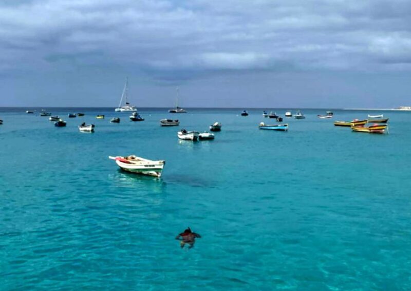 Sal island: Santa Maria city tour, street art and tapas - A Close Look at the Santa Maria Guided Tour