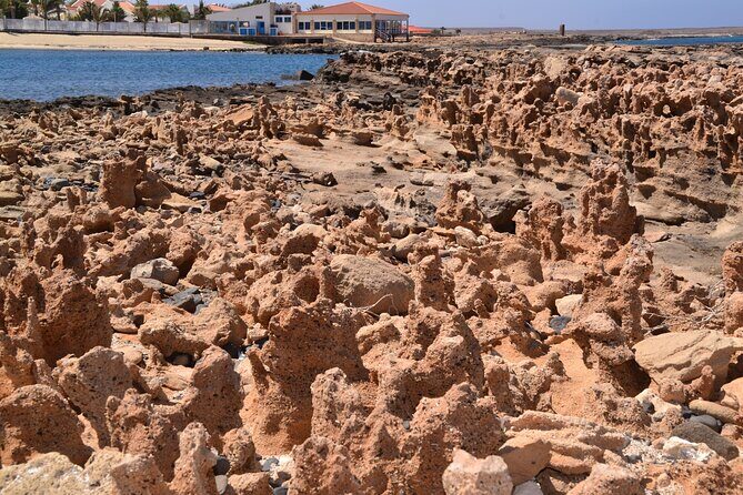 Sal Island Tour Off-Road by Jeep - FAQ