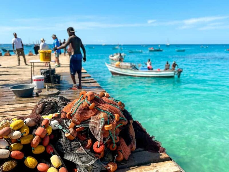 Sal Island: Two Hours Self-Drive Tour around Santa Maria - Authentic Experiences and Insights from Reviewers