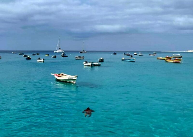 Sal: Private Tour Secrets of a native guide All-inclusive - Key Points