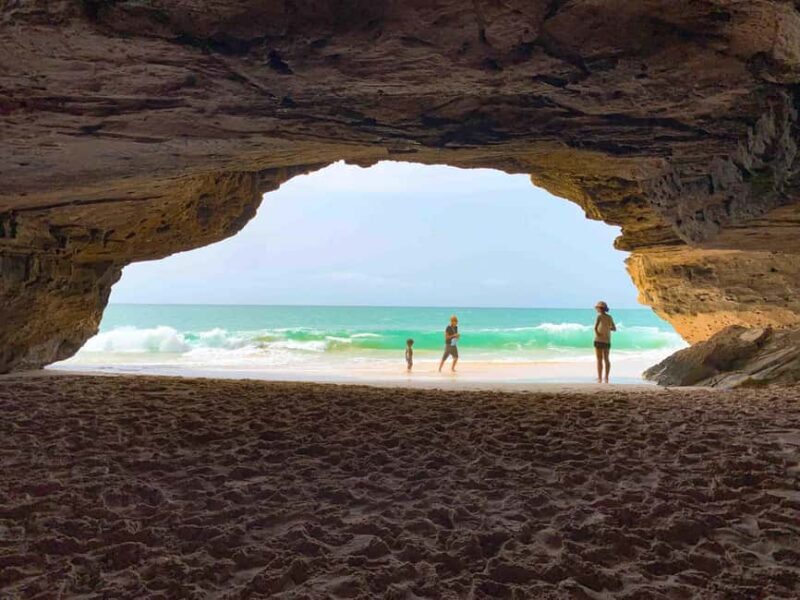 Sal Rei: Boa Vista Island Full-Day North to South Discovery - Cabo Santa Maria Shipwreck & Turtle Nesting Beach