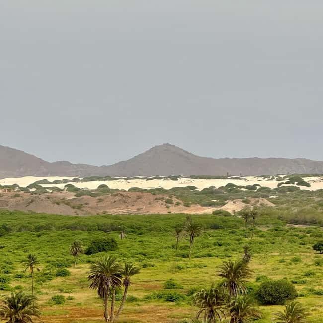 Sal Rei: Boa Vista Private Island Half-Day Tour - The South Route: Beaches, Caves, and Turtle Sightings