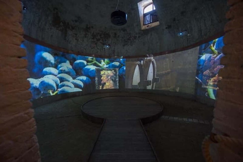 Sala Baganza: Wine Museum Ticket - What is the Sala Baganza Wine Museum Experience?