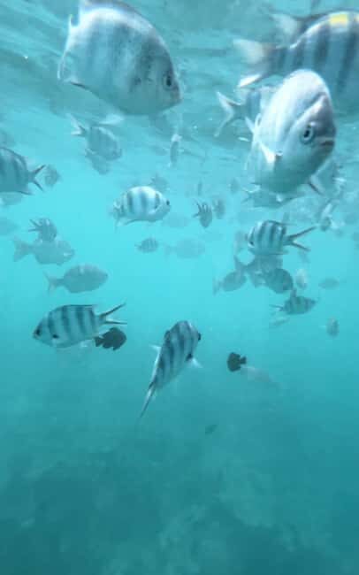 Salaam Cave, Starfish Adventure, The Rock Lunch, Kuza Cave - Key Points