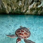 Salaam Cave, Starfish Adventure, The Rock Lunch, Kuza Cave - The Sum Up