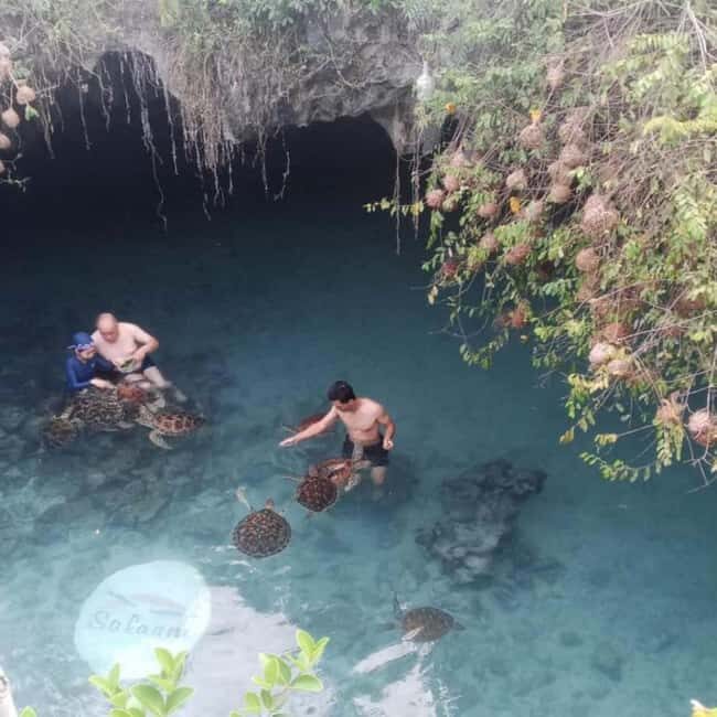 SALAAM CAVE: Swim with turtles & Dine at The Rock Restaurant - What Reviewers Say  