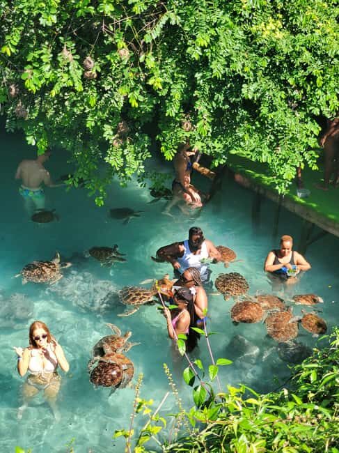 Salaam cave swimming with turtles and Mtende beach - Key Points
