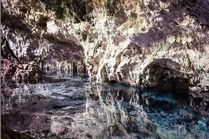 Salaam Cave Zanzibar (Turtles Santuary) - An In-Depth Look at the Salaam Cave Turtle Sanctuary Tour
