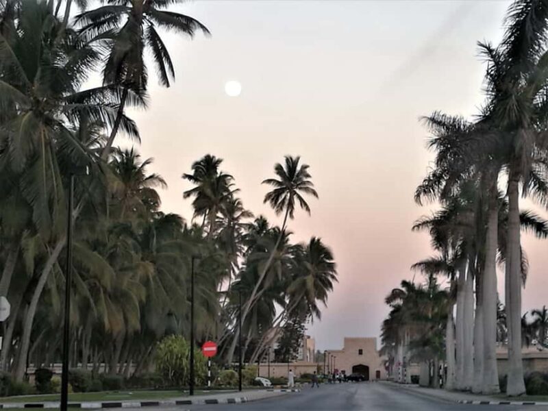Salalah: City Highlights Tour with Local Guide - Practical Tips for Enjoying the Tour  