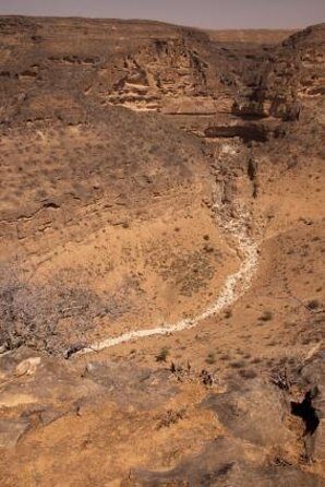 Salalah City private tour - all-inclusive sightseeing tour - Key Points