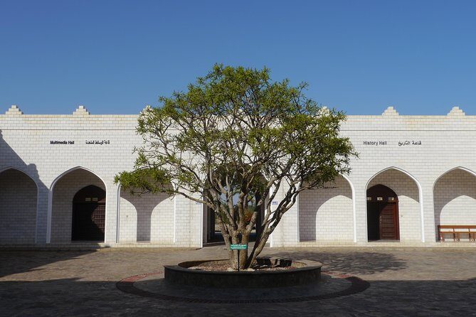 Salalah City private tour - all-inclusive sightseeing tour - Exploring Salalah: A Detailed Look at the Tour
