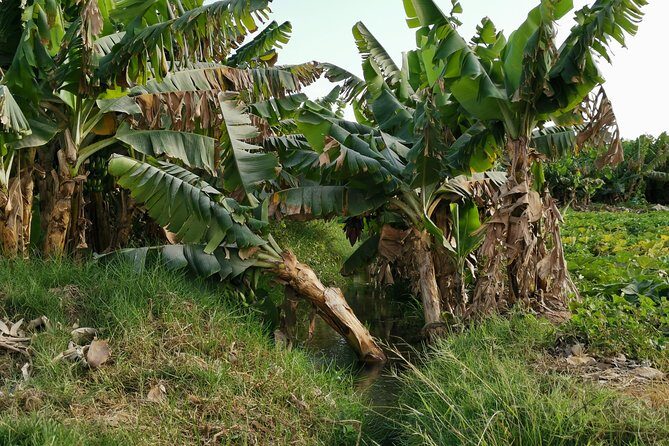 Salalah City private tour - all-inclusive sightseeing tour - Final Thoughts