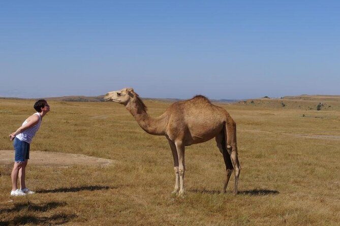 Salalah City Tour - Frequently Asked Questions