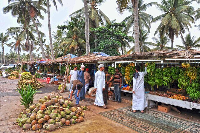 Salalah City Tour: Discover Salalahs Treasures with a Local Guide - What Makes This Tour Stand Out?