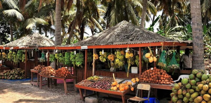 Salalah City Tours - Why the Guides Make a Difference