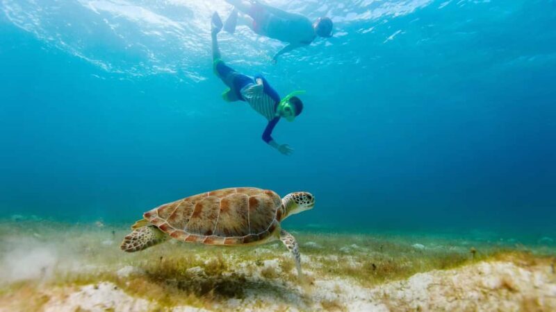Salalah: Discover Mirbat's Snorkeling Paradise Guided Tour - Salalah: Discover Mirbats Snorkeling Paradise Guided Tour