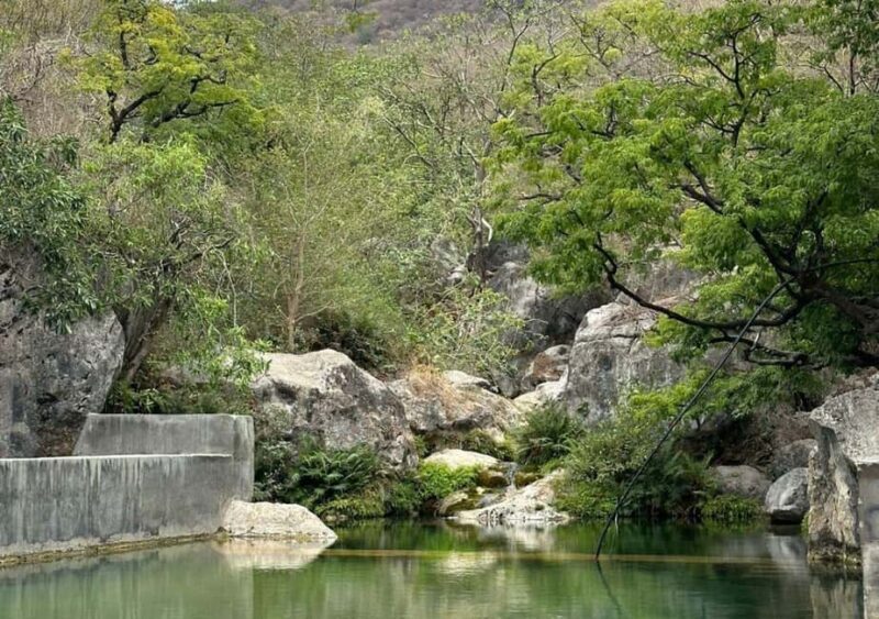 Salalah: East Salalah Tour with Wadi and Sumhuram Museum - What to Expect from the Tour