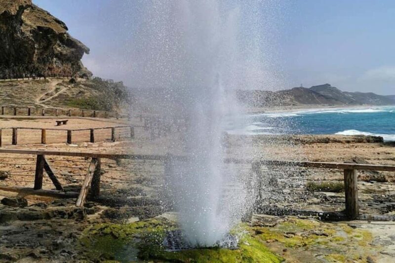 Salalah | Fazayah Beach, Mughsail Beach & Frankincense Trees - Frequently Asked Questions
