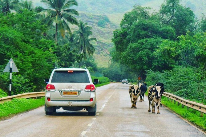 Salalah Mountain Safari Tour 2(Full Day Tour) - Key Points