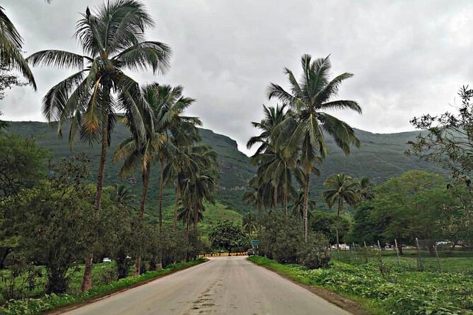 Salalah Mountain Safari Tour 2(Full Day Tour) - Value for Money