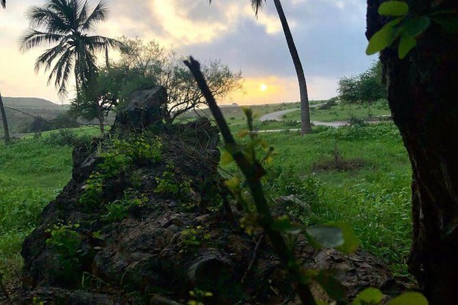 Salalah Mountain Safari Tour 2(Full Day Tour) - Final Thoughts