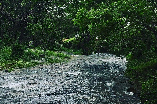 Salalah Mountain Safari Tour 2(Full Day Tour) - FAQ
